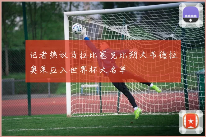 记者热议马拉比塞克比朔夫韦德拉奥果应入世界杯大名单