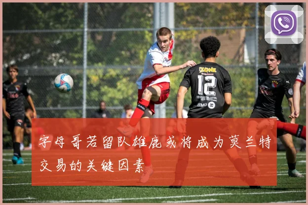 字母哥若留队雄鹿或将成为莫兰特交易的关键因素