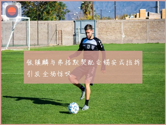 张镇麟与弗格默契配合锡安式挡拆引发全场惊叹